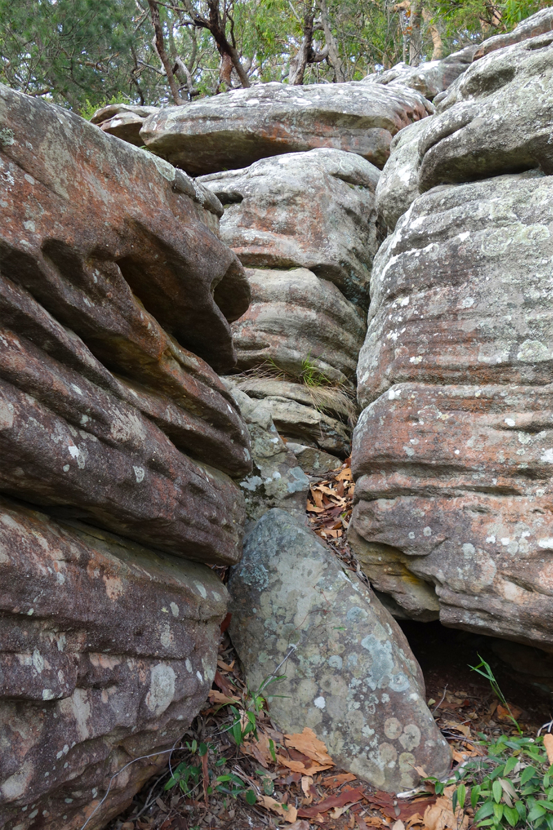 Sandstone of Pittwater